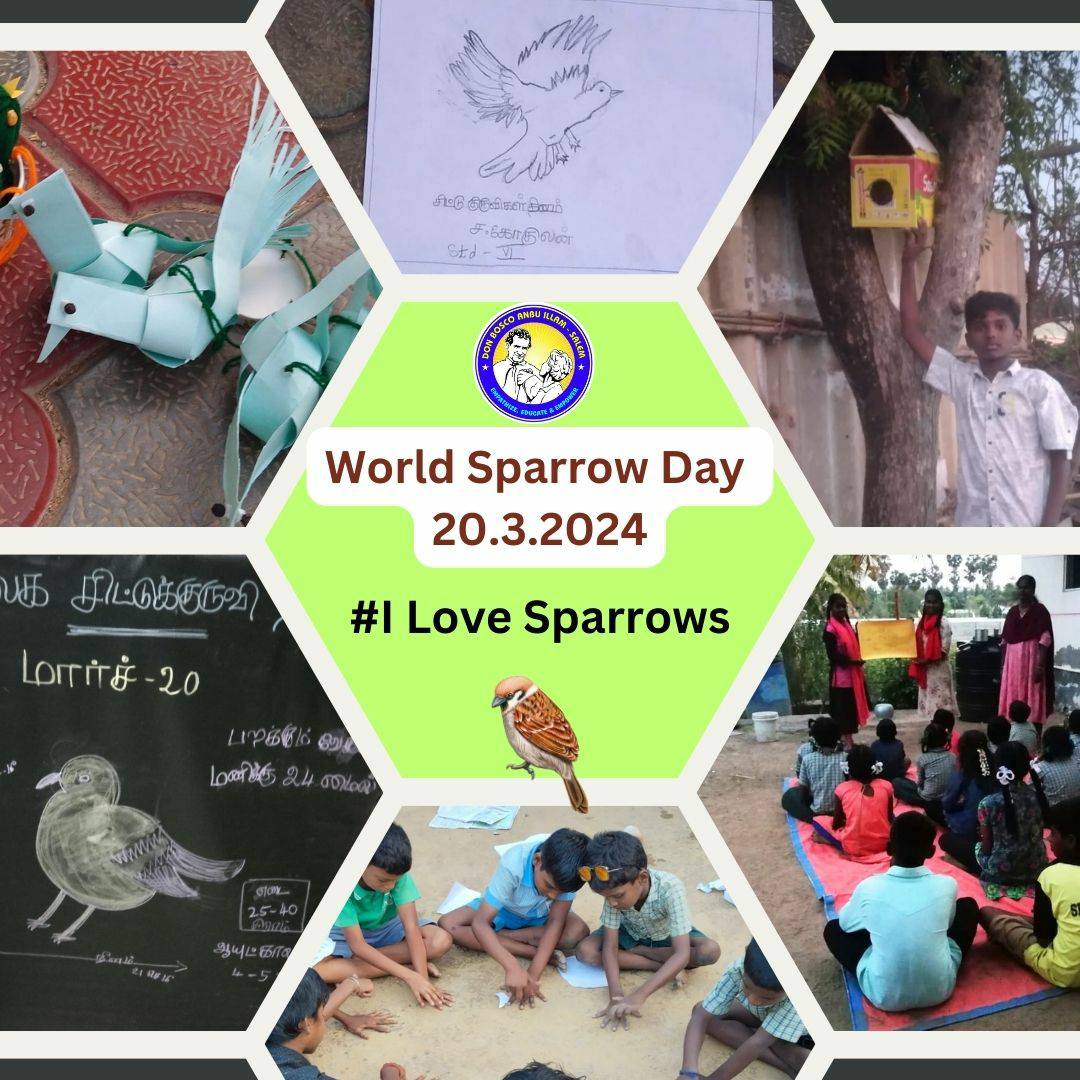 433246365_917286100042105_7258674895712624455_n